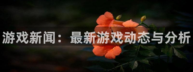 极悦娱乐4主管：游戏新闻：最新游戏动态与分析