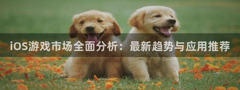 极悦娱乐app下载|下载地址：iOS游戏市场全面分析：最新趋