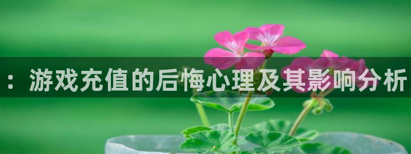 极悦娱乐网页登录入口：：游戏充值的后悔心理及其影响分析