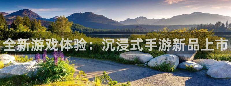 极悦娱乐平台官网客服电话：全新游戏体验：沉浸式手游新品上市