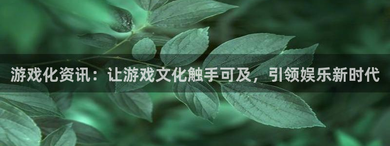 极悦娱乐主管：游戏化资讯：让游戏文化触手可及，引领娱乐新时代