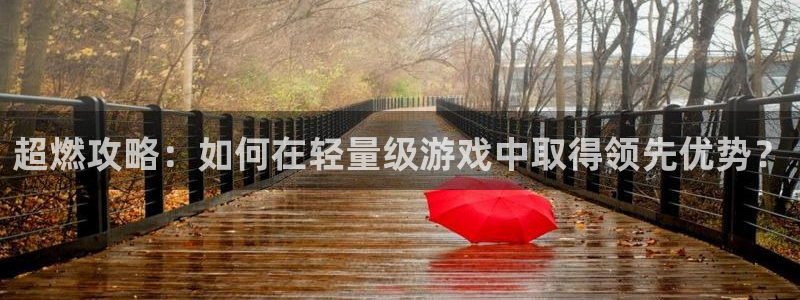 极悦娱乐直属：超燃攻略：如何在轻量级游戏中取得领先优势？