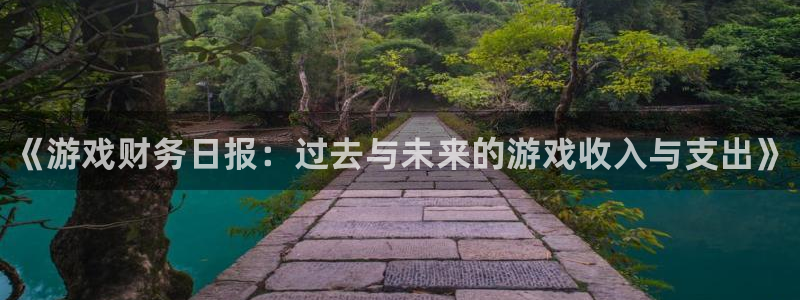 极悦娱乐登录：《游戏财务日报：过去与未来的游戏收入与支出》